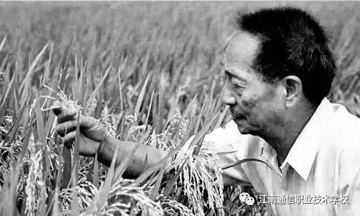 岳陽市江南通信職業(yè)技術學校,岳陽江南學校,岳陽江南通信學校,岳陽職業(yè)學校 岳陽市江南通信職業(yè)技術學校,岳陽江南學校,岳陽江南通信學校,岳陽職業(yè)學校